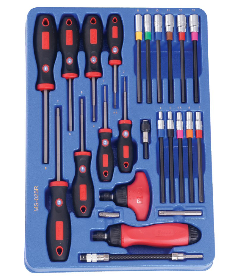 25 Piece Screwdriver, Nut Driver Blade and Ratcheting Screwdriver Set