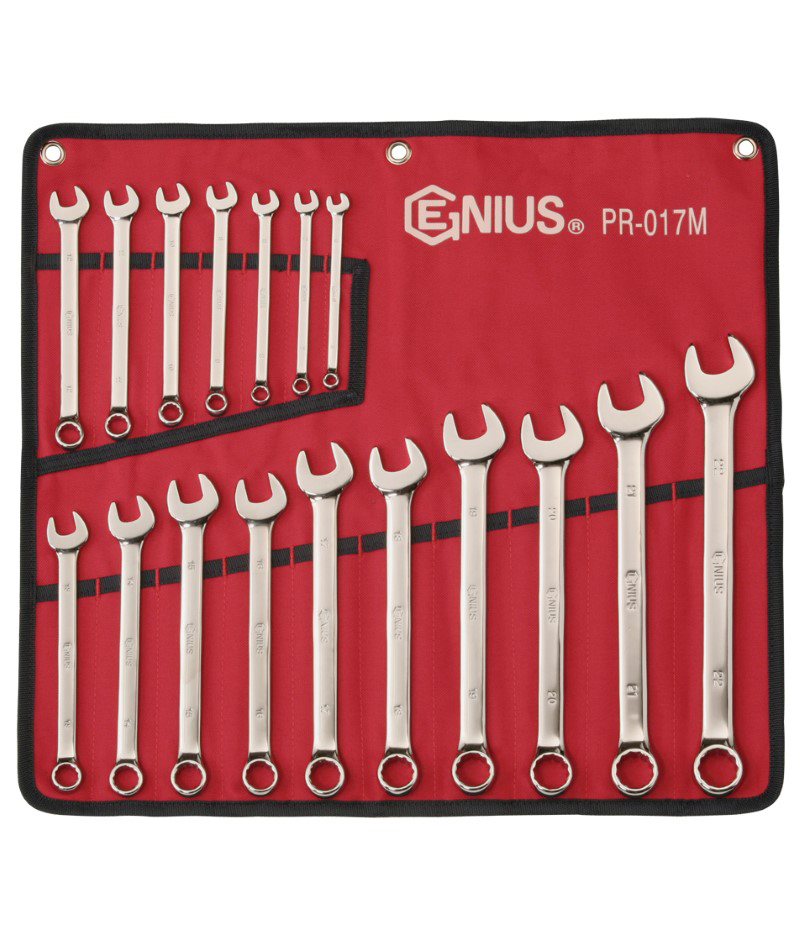 17 Piece Metric Combination Wrench Set