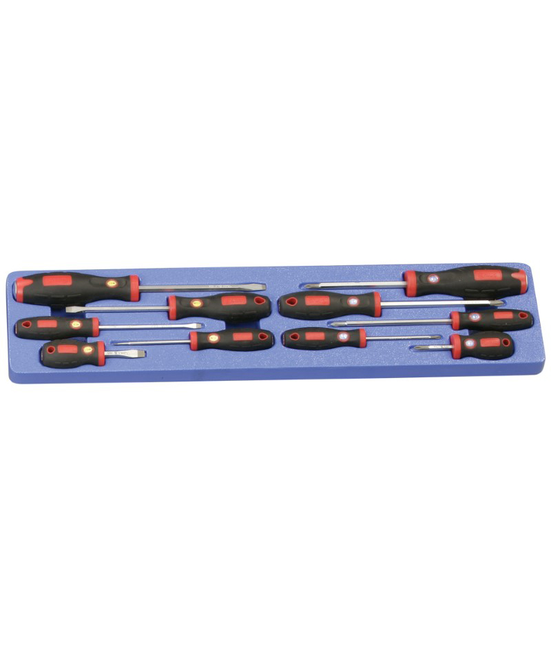 10 Piece Slotted & Philips Screwdriver Set